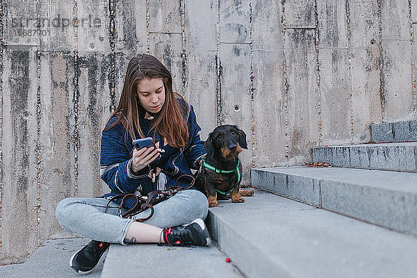 Junge erwachsene Frau sucht ihr Smartphone Treppe sitzen neben ihrem Hund