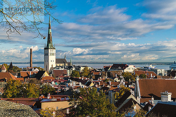 Blick auf die Altstadt mit dem Turm der St.-Olaf-Kirche und die Ostsee