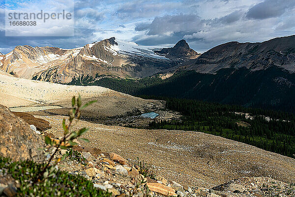 Berggipfel vom Iceline Trail im Yoho National Park aus gesehen