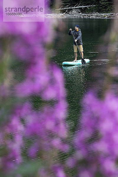 Ruhiger Mann  der auf einem Paddelbrett auf einem See mit lila Wildblumen steht