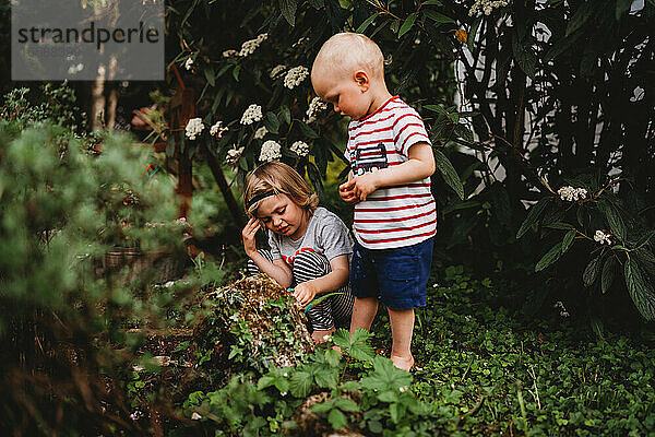 Jungen erkunden im Sommer den Garten auf der Suche nach Käfern