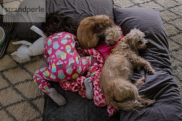 Kleinkindmädchen und zwei kleine Hunde schlafen auf dem Boden
