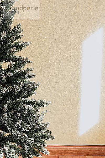 Baum an der Wand im gemütlichen Zimmer vor der Weihnachtsfeier
