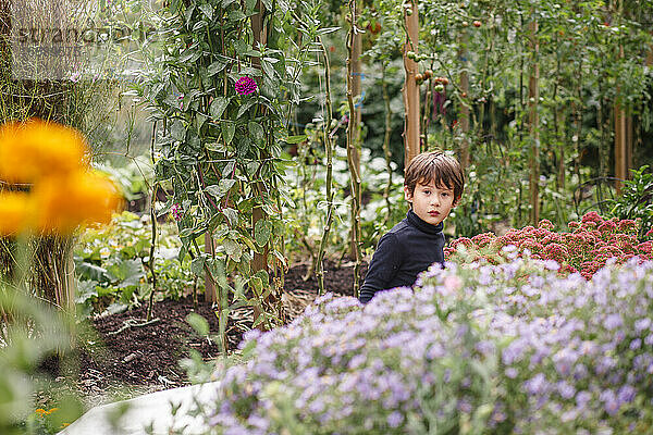 Ein kleiner  hübscher Junge blickt über eine Reihe von Blumen in einem Garten hinaus