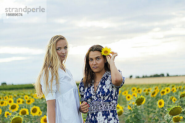 Ein Paar attraktiver Frauen  eine blond und die andere brünett  posieren in ihren Designerkleidern in einem Sonnenblumenfeld
