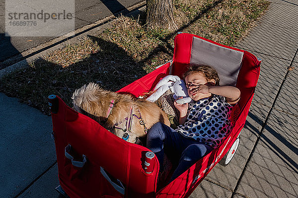 Schläfriges Kind in einem Wagen mit einem kleinen Hund