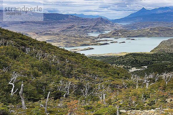 Nordenskjodl-See vom Mirador Valle Frances aus gesehen  Nationalpark Torres del Paine  Patagonien  Chile