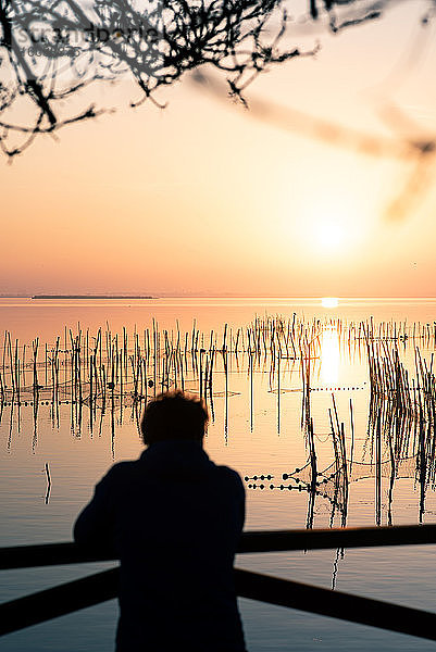 Mann beobachtet den Sonnenuntergang in der Albufera von Valencia im Gegenlicht