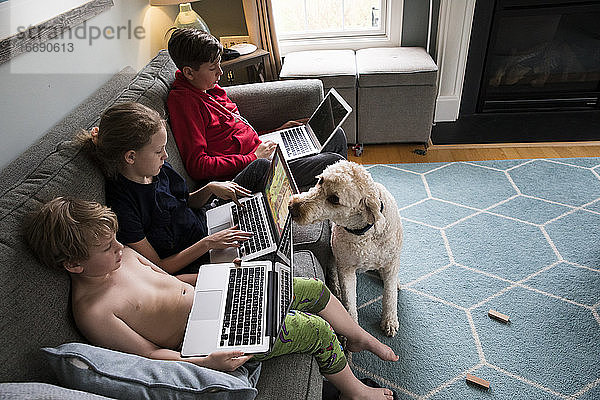 Familienhund übersieht Geschwister  die Laptops zum virtuellen Lernen nutzen