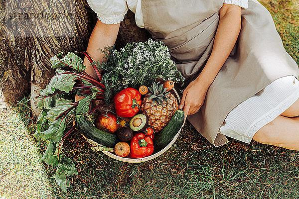 Hände einer Frau  die einen Korb mit Gemüse hält  während sie unter einem Baum sitzt