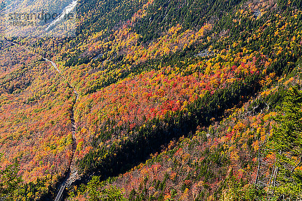 Farbenfrohe Herbstbäume in den White Mountains von New Hampshire.