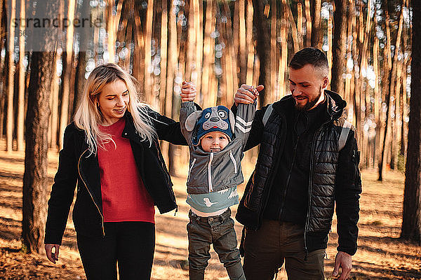 Glückliche junge Mutter und Vater halten ihr Kind an den Händen im Wald