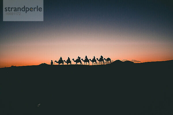 Schöne Silhouette von Kamelen auf Reise durch die Sahara Wüste Sonnenuntergang