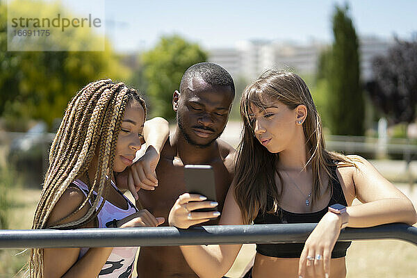 Junge Leute im Park  die ihr Smartphone benutzen