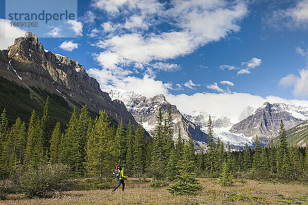 Rucksacktourist beim Wandern durch eine alpine Wiese in den Rocky Mountains  Banff.