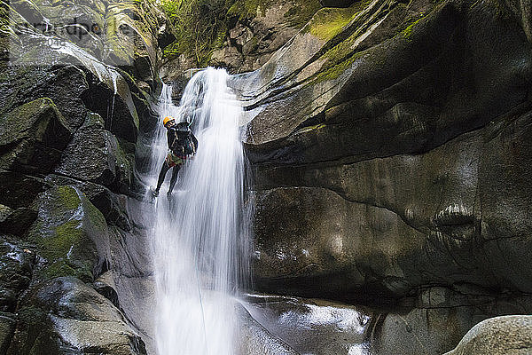 Rückansicht eines Mannes  der sich am Wasserfall im Cypress Creek Canyon abseilt.