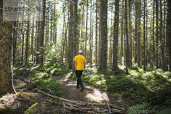 Alleinstehender Mann auf einem Naturpfad an der Küste von Maine