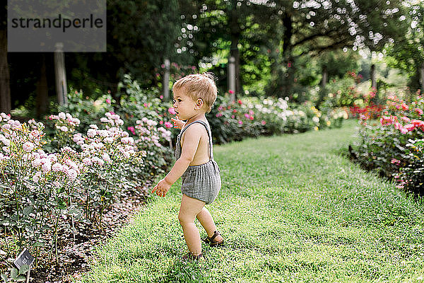 Kleinkind Junge Blick auf bunte Blumen draußen im Garten