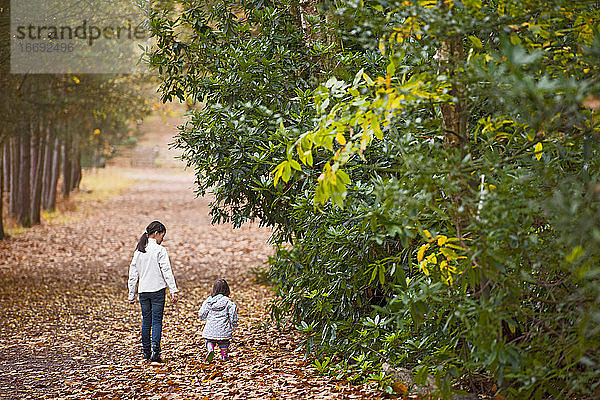 zwei junge Mädchen gehen im Wald in der Nähe von Woking spazieren