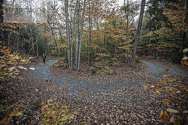 Schotterstraße schlängelt sich durch bewaldete Herbstlandschaft Borestone Maine