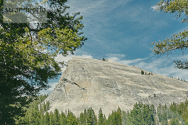 Ansichten des Yosemite National Park im Sommer in Nordkalifornien.