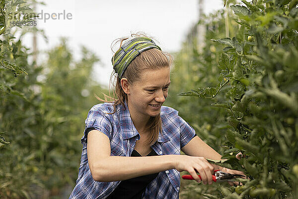 junge Frau  die als Gemüsezüchterin oder Bäuerin auf dem Feld arbeitet
