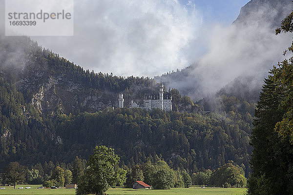 Schloss Neuschwanstein im Nebel.