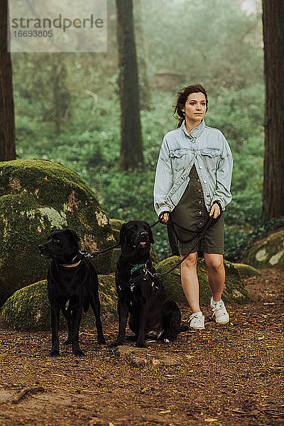 Frau steht mit zwei schwarzen Labradorhunden an der Leine im Wald