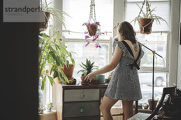 Junge Frau im Kleid topft ihre Pflanzen am Schreibtisch um