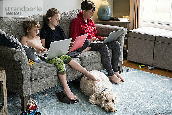 Geschwister arbeiten an Laptops auf der Couch im Wohnzimmer  mit Familienhund