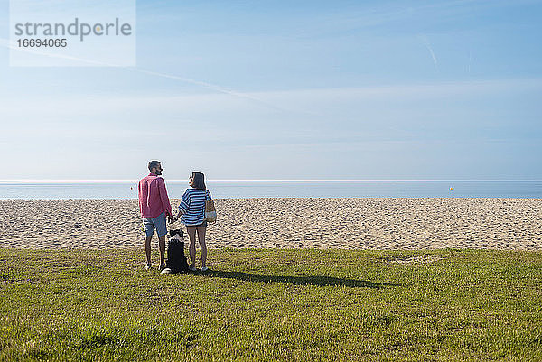 Rückansicht eines Paares  das am Strand in der Nähe seines Hundes steht und die Hände hält