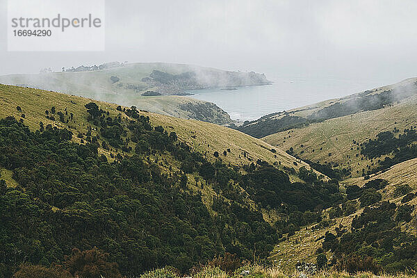 Verzweigte Flüsse in der Little Akaloa Bay  Banks Peninsula  Neuseeland