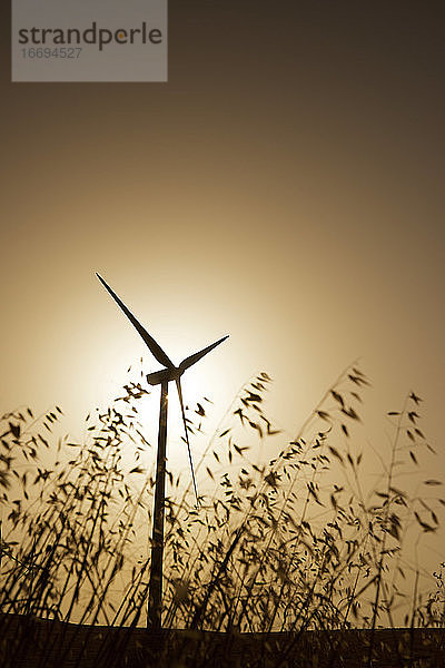Windkraftwerk zur Stromerzeugung bei Sonnenaufgang.