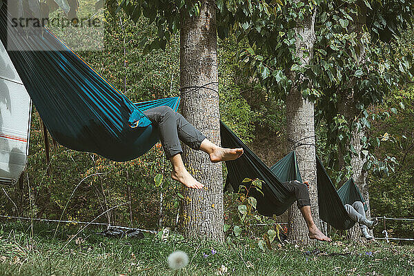 Freunde entspannen sich an einem sonnigen Tag in Hängematten  die an den Bäumen eines Campingplatzes befestigt sind.