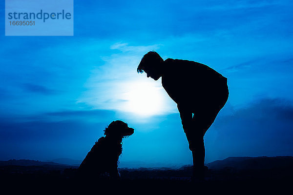 Silhouette eines jungen Mannes mit seinem Hund in blauem Nachtlicht