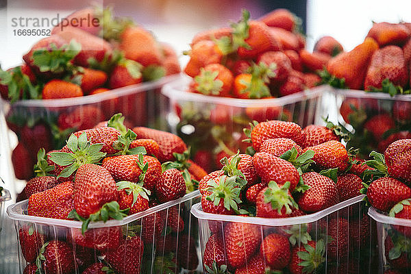 Erdbeeren auf dem Farmers' Market