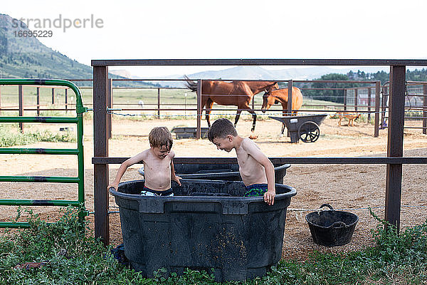 Gemeinsam spielende Kinder im Pferdewasserbehälter