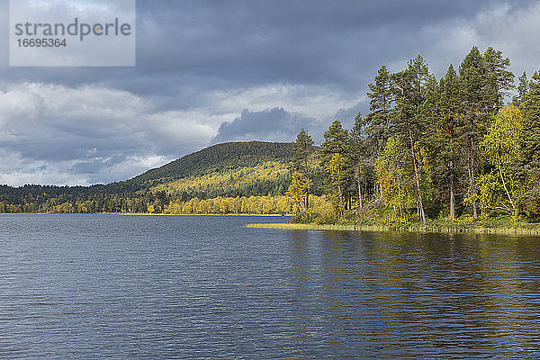 Herbstliche Waldlandschaft um den See Havggajavrre am Kungsleden Trail  Lappland  Schweden