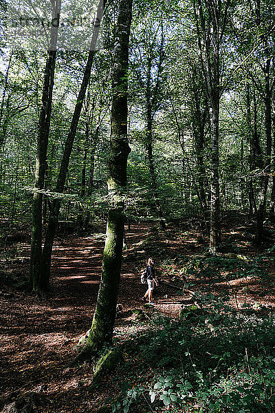 Mädchen mit Gesichtsmaske geht im Wald spazieren