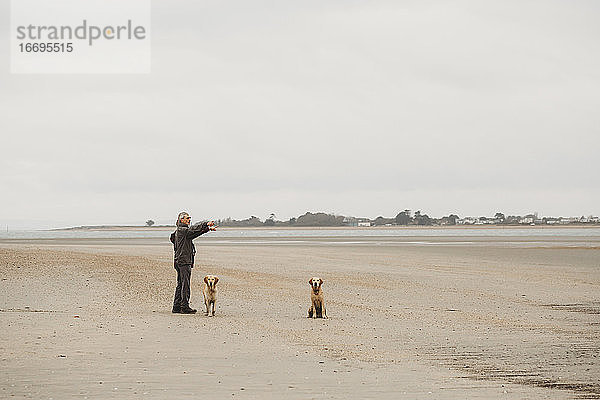 Älteres Paar mit zwei Hunden am Strand  die aus der Kamera zeigen