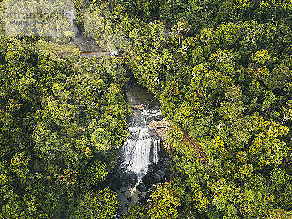 Luftaufnahme der Zillie Falls am Rande eines üppigen grünen Waldes  während ein Van über eine Brücke im tropischen Queensland  Australien  fährt