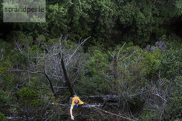 Mann klettert im Wald am oberen Seil Squamish Chief