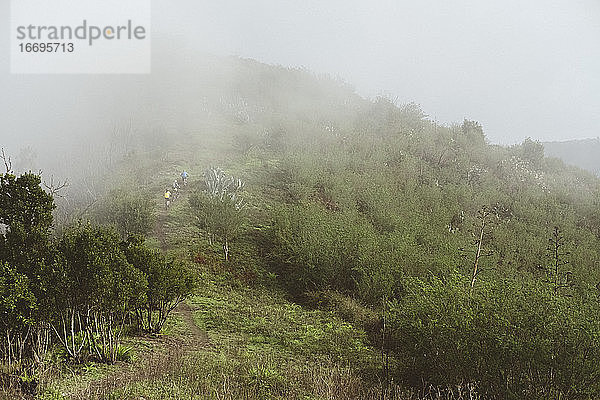 Zwei Radfahrer radeln auf einem Bergpfad im Nebel