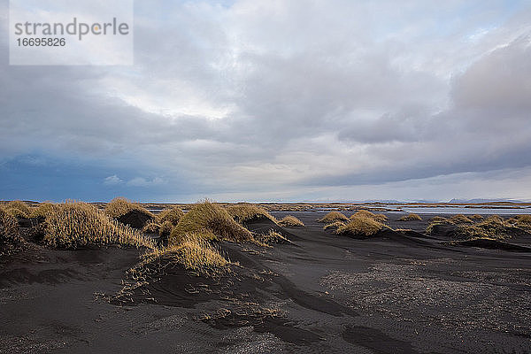 Windgepeitschte schwarze Sanddünen von Stokksnes  Island