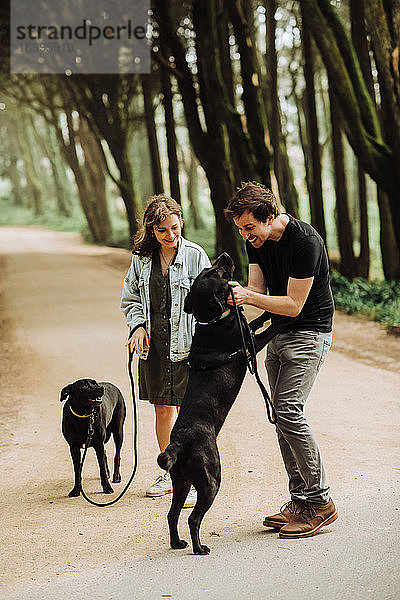 Junges Paar spielt mit zwei Hunden auf einem Waldweg