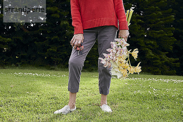 Frau in rotem Pullover mit frischen Schnittblumen