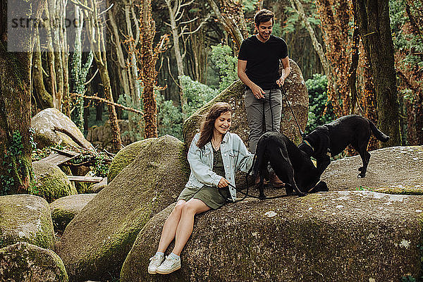Junges Paar mit zwei Hunden  die sich im Wald vergnügen  während sie auf einem Felsen sitzen