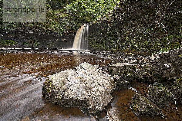 Sgwd Gwladys Wasserfall in den Brecon Beacons in Wales / Großbritannien