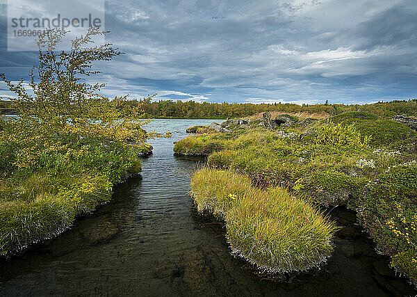 Blick auf den Myvatn-See im Herbst  Nordisland