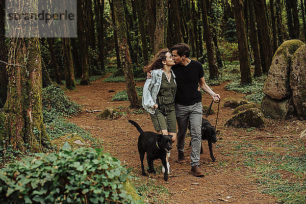 Paar küsst sich beim Spaziergang mit angeleinten Hunden auf einer Straße im Wald
